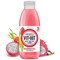 Vit-Hit Immunitea Dragonfruit and Yuzu, 12x500ml Bottles